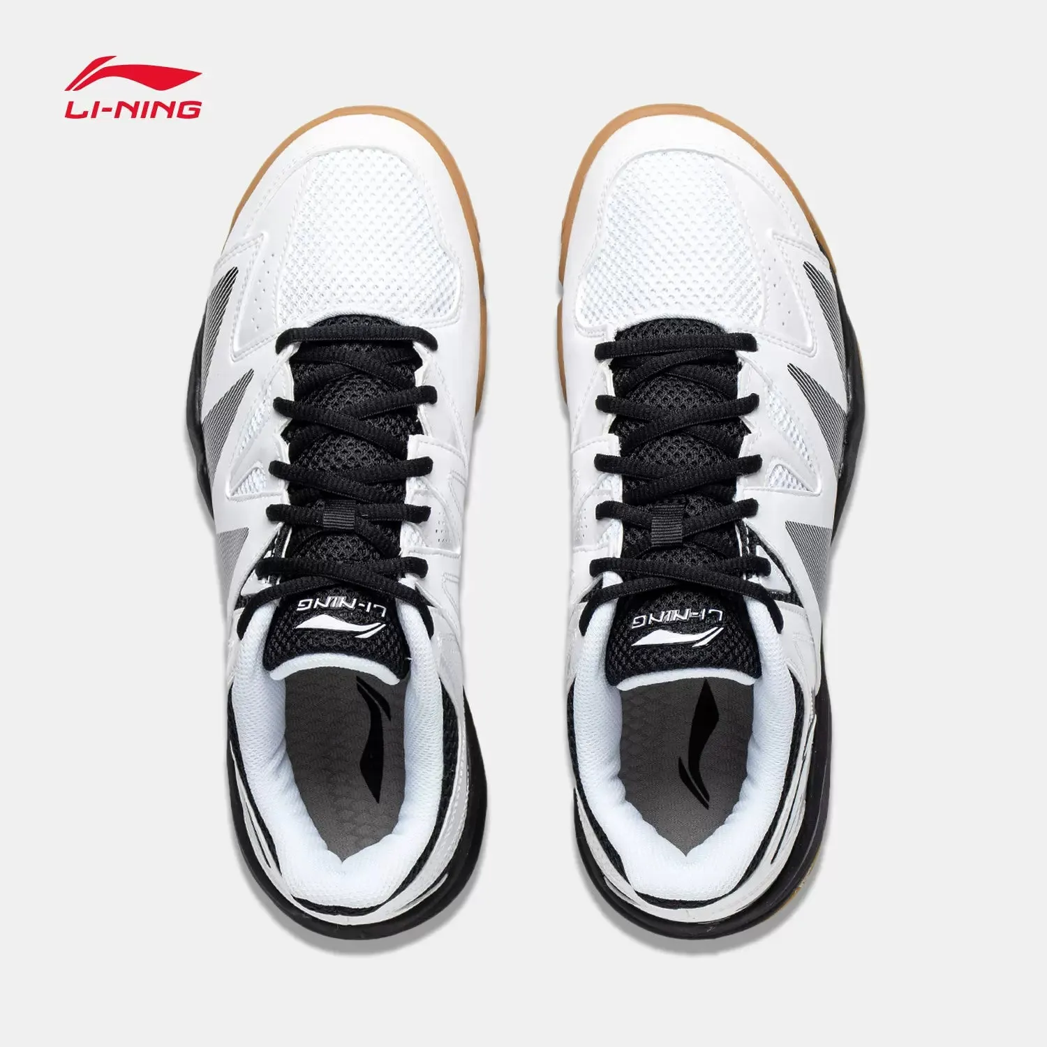 Li-Ning Accipiter 3.0 TD Badminton Shoes